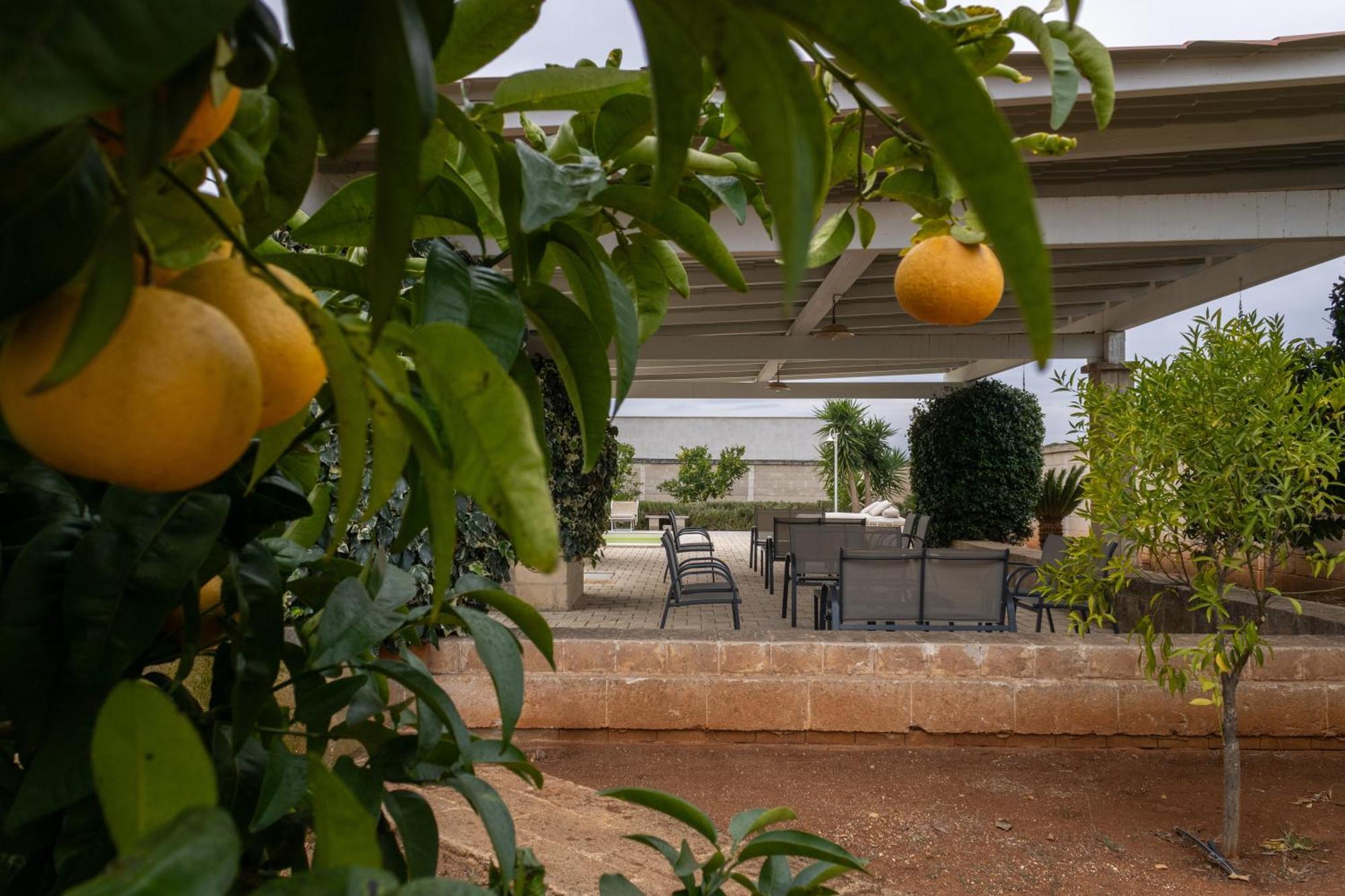 קסטלאנה גרוטה Masseria Don Bonifacio מראה חיצוני תמונה